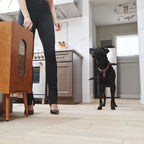 Dog food storage dispenser with mid century feeder styling, product image 28