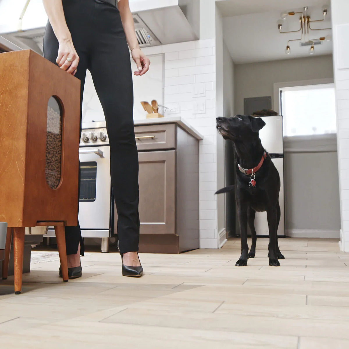 Dog food storage dispenser with mid century feeder styling, product image 28