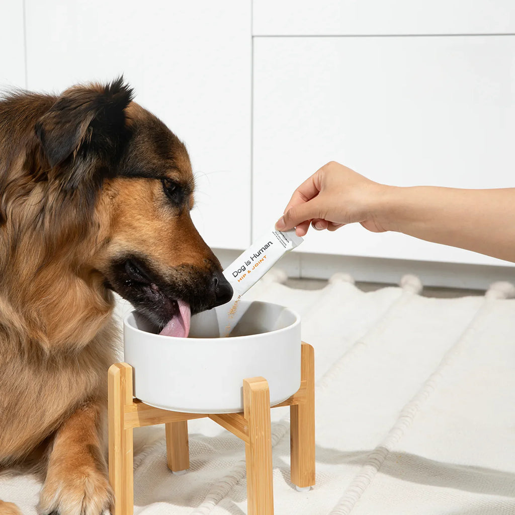 Dog Hip and Joint Supplement Powder product view 4