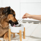 Dog Hip and Joint Supplement Powder product view 4