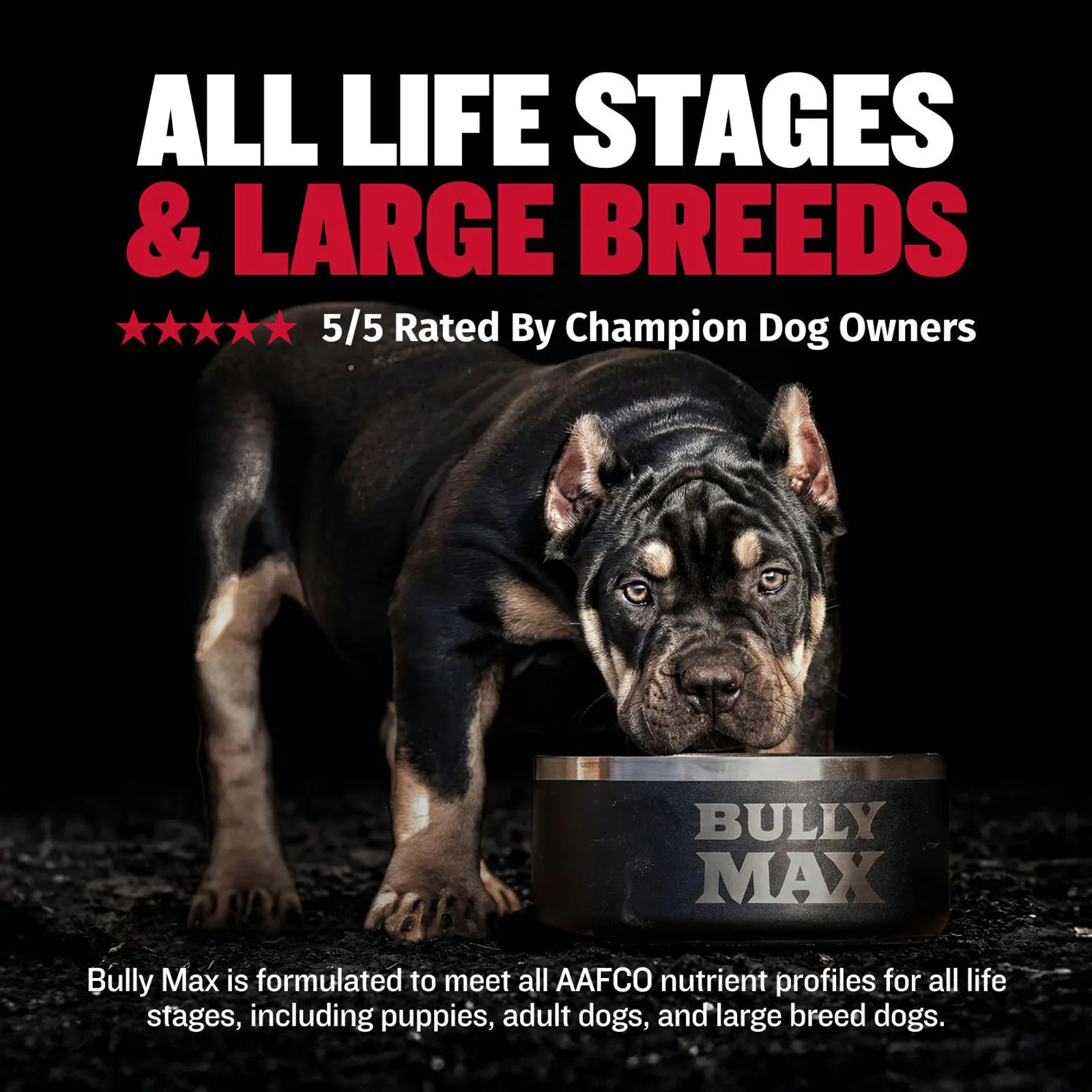 Dog muscle support tablets with protein vitamins and minerals, product image 4