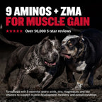 Dog muscle support tablets with protein vitamins and minerals, product image 5