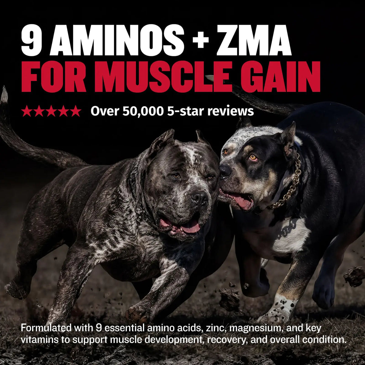 Dog muscle support tablets with protein vitamins and minerals, product image 5