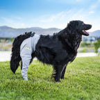 Dog recovery leg sleeve for rear leg protection, product image 1