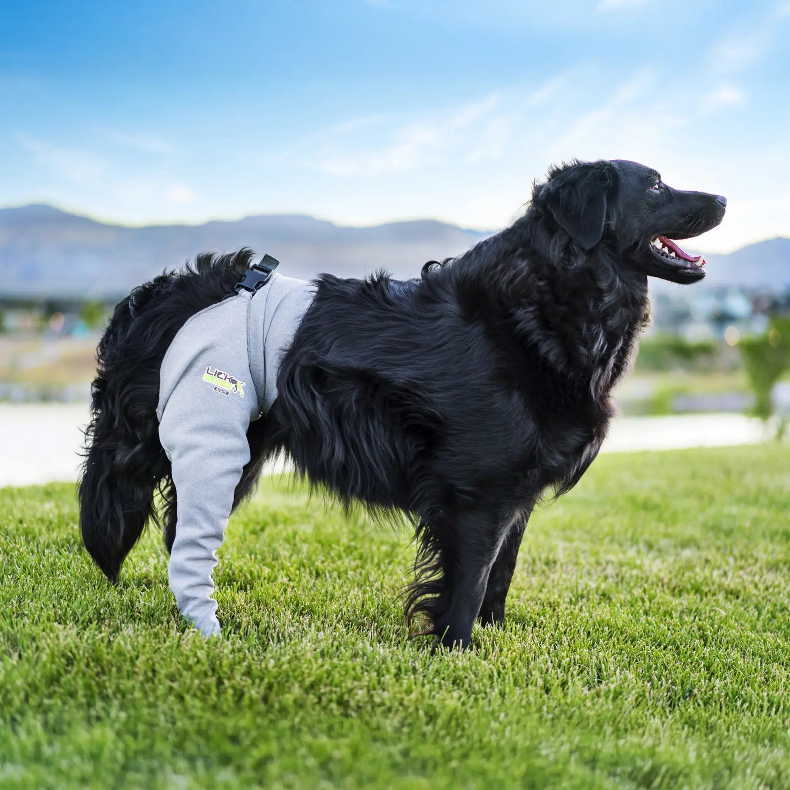 Dog recovery leg sleeve for rear leg protection, product image 1