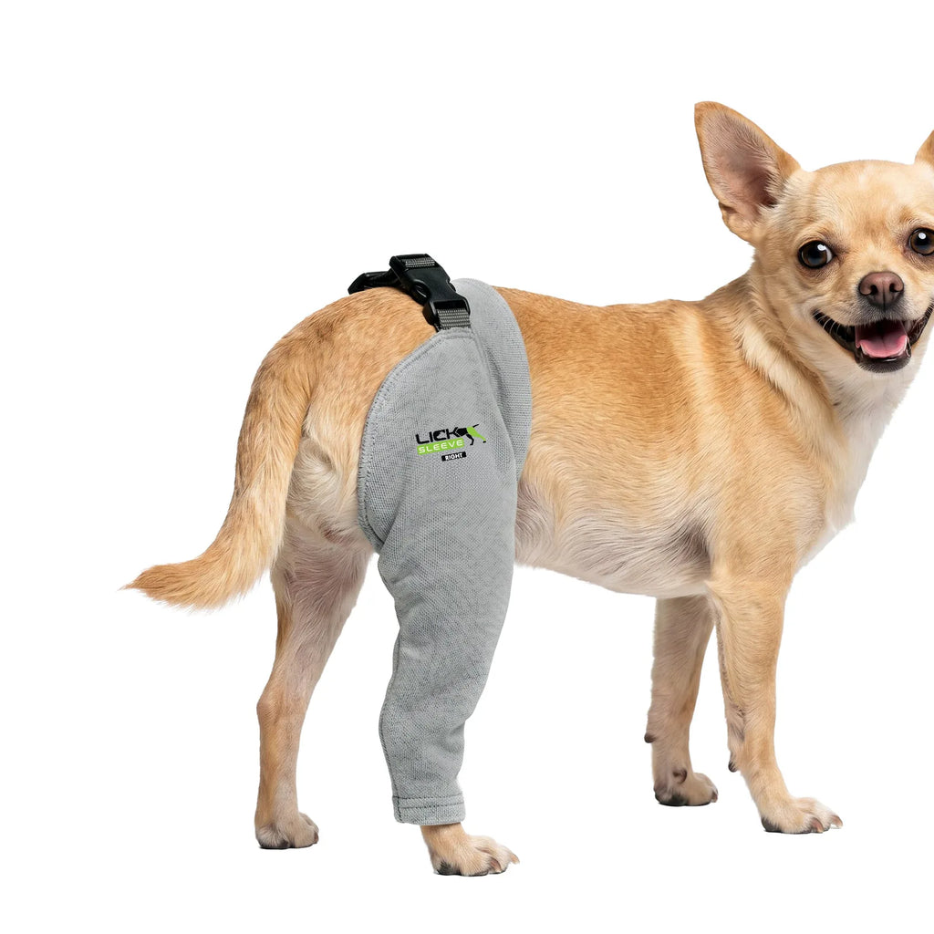 Dog recovery leg sleeve for rear leg protection, product image 3