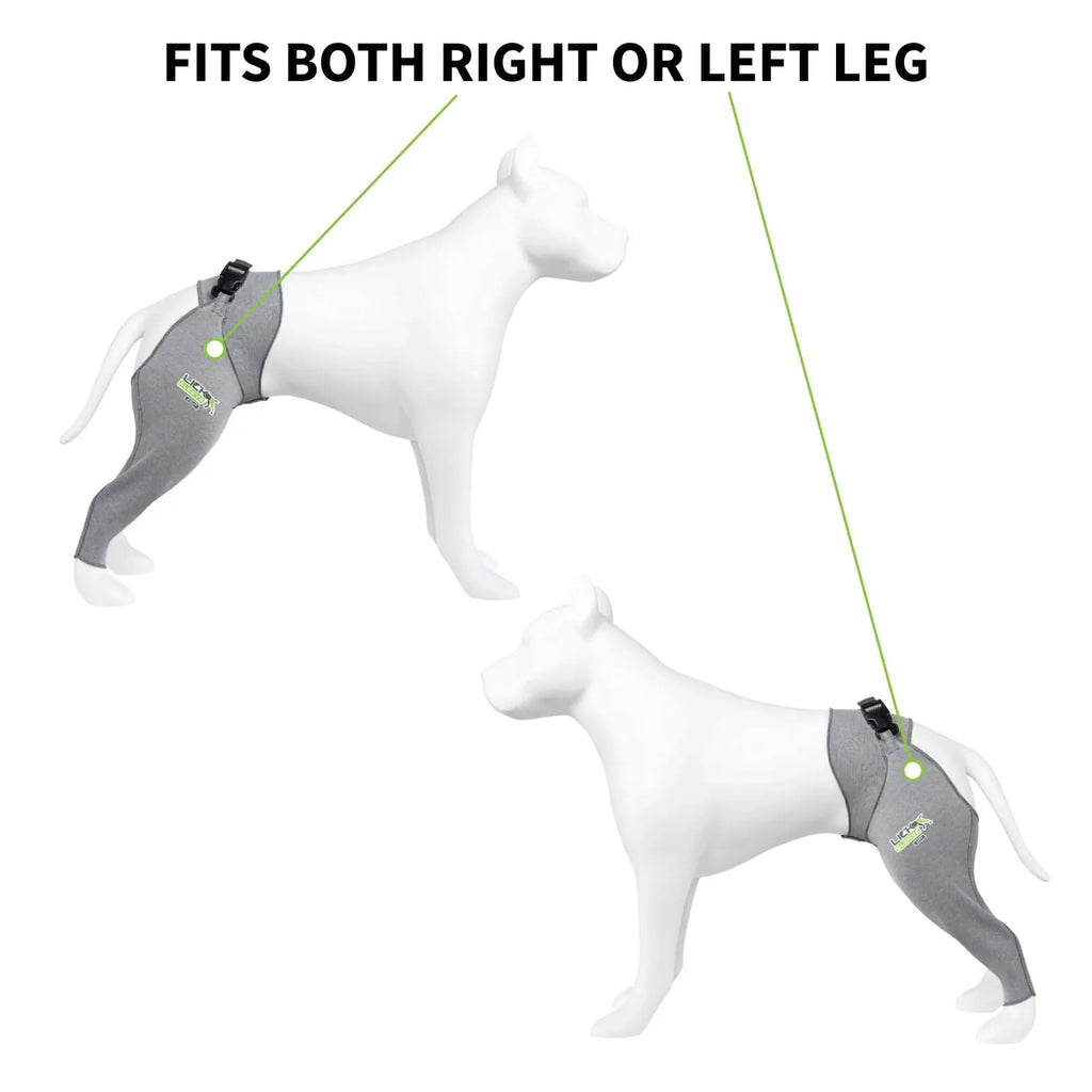 Dog recovery leg sleeve for rear leg protection, product image 11