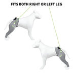 Dog recovery leg sleeve for rear leg protection, product image 11