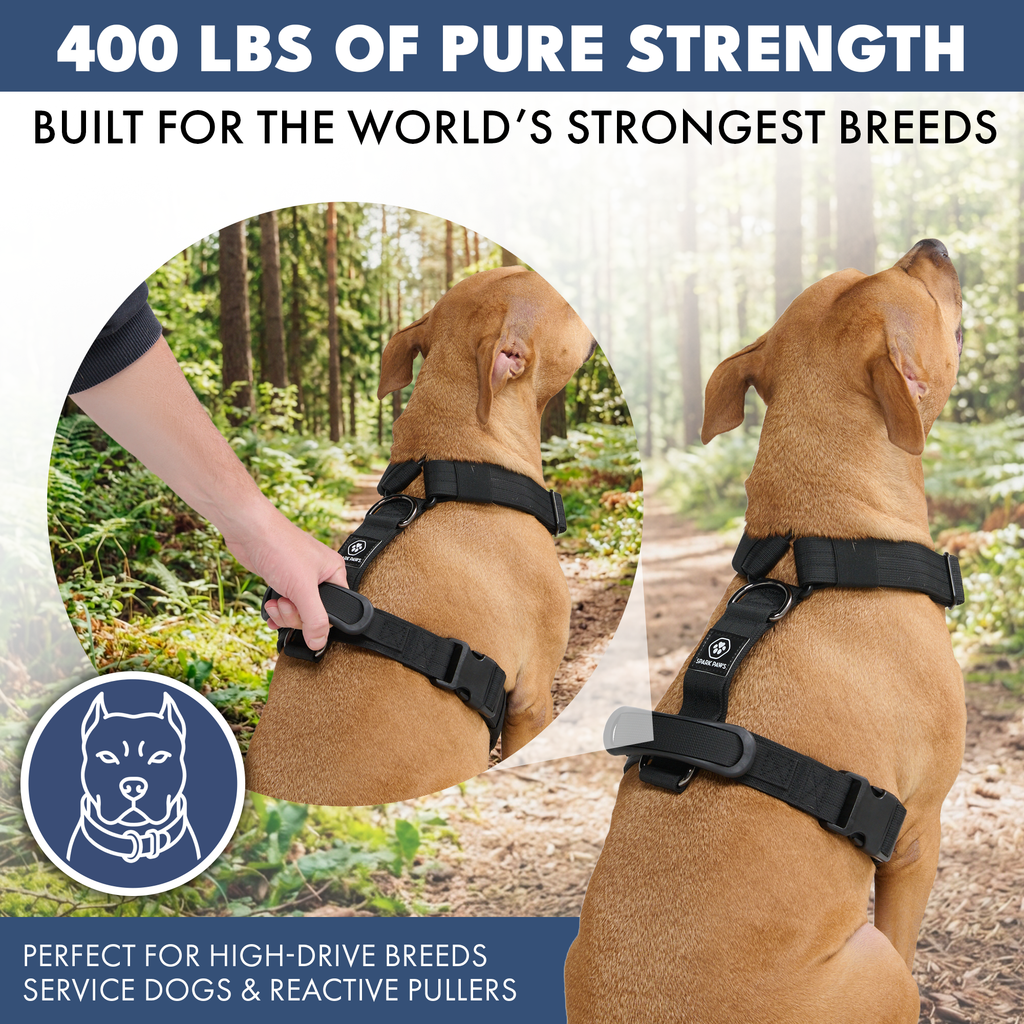 No-Pull Dog Harness Walking Set product image 25