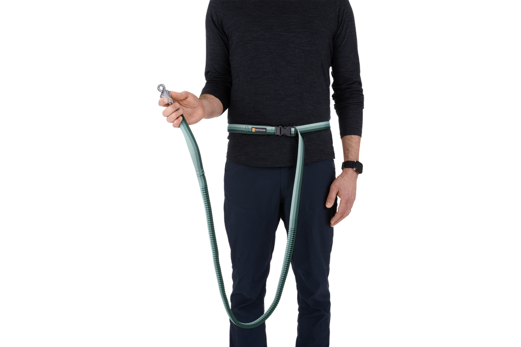 Hands-Free Bungee Dog Leash product image 21