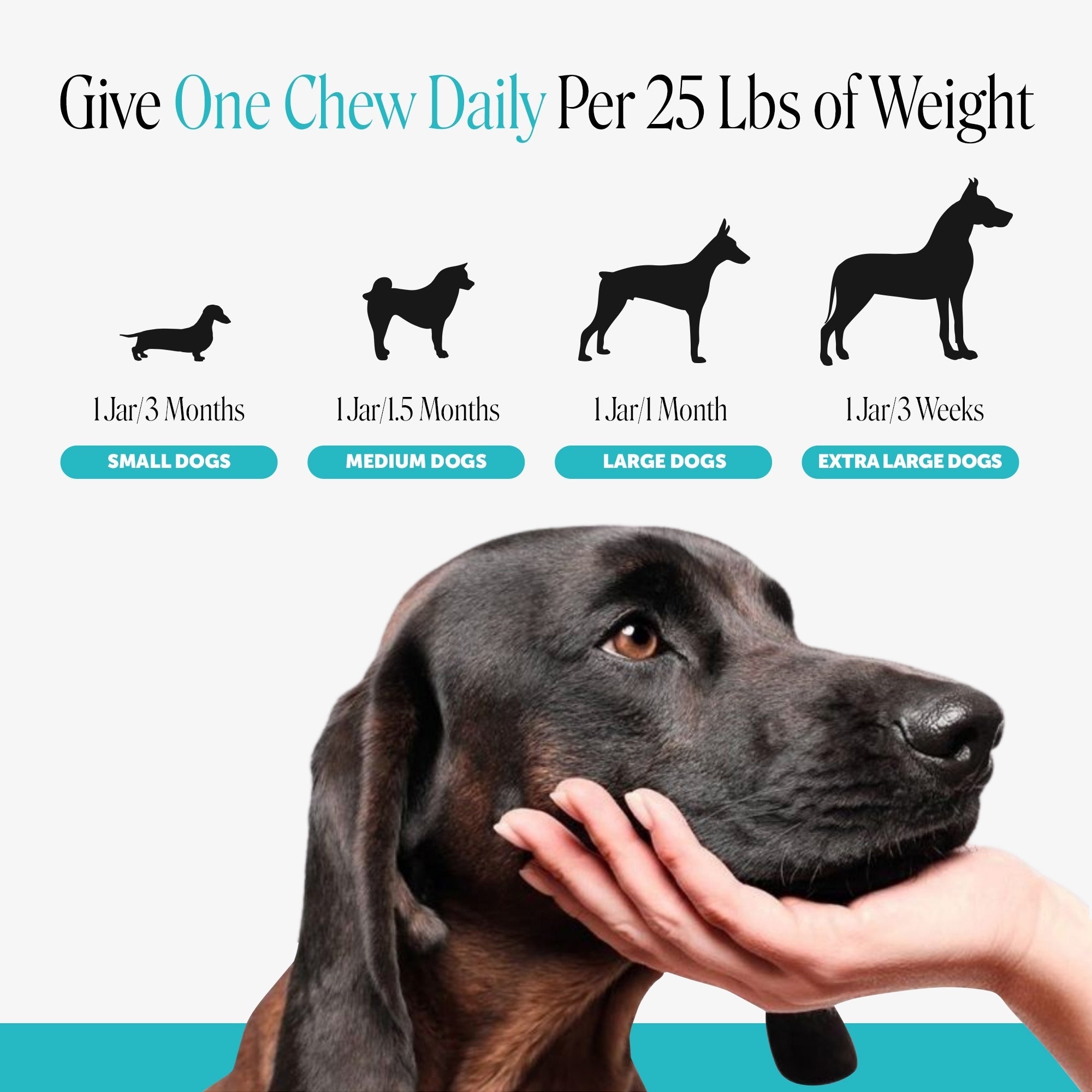 Hemp Calming Soft Chews for Dogs product image 7