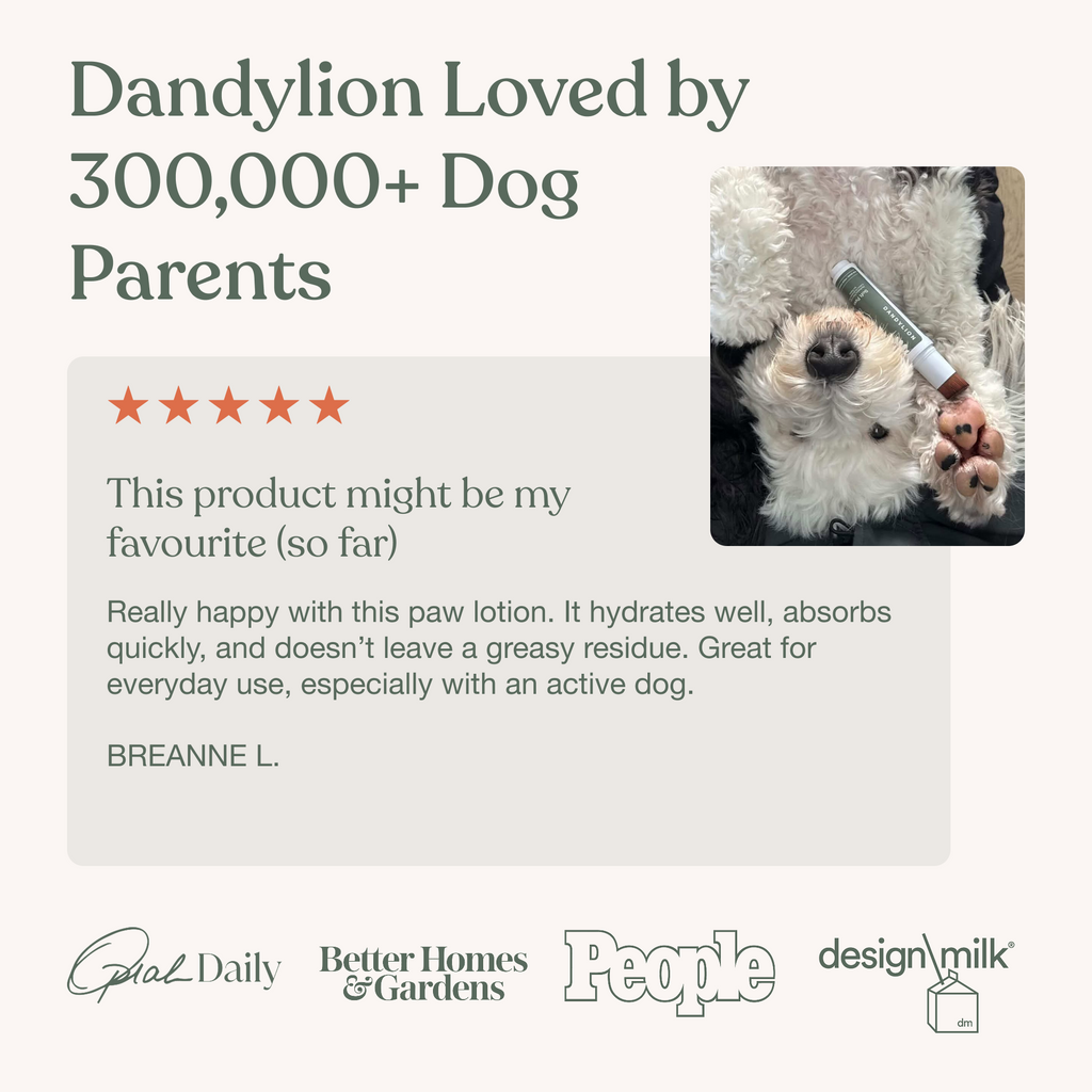 Hydrating Dog Paw Lotion product image 7