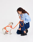Leash-Attached Dog Waste Bag Dispenser product image 69