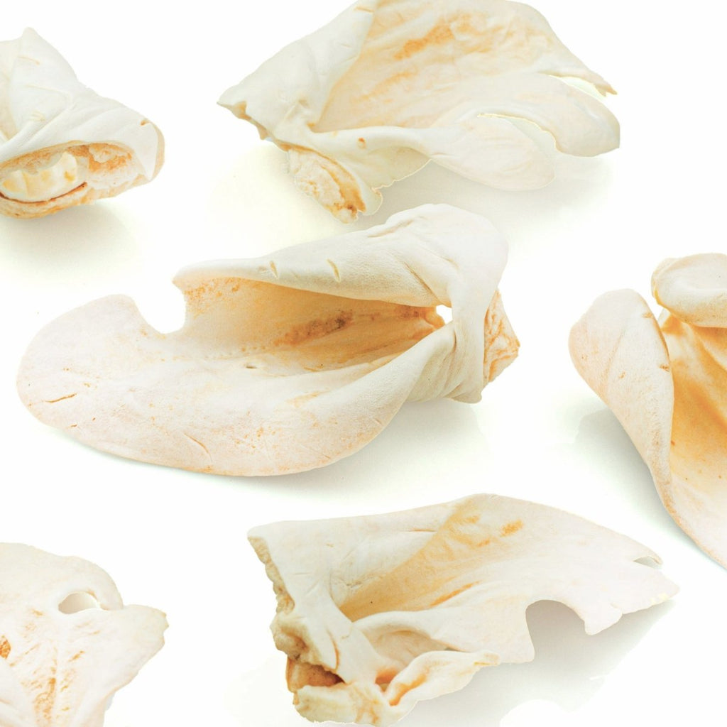 Thick-Cut Cow Ear Dog Chews product image 1