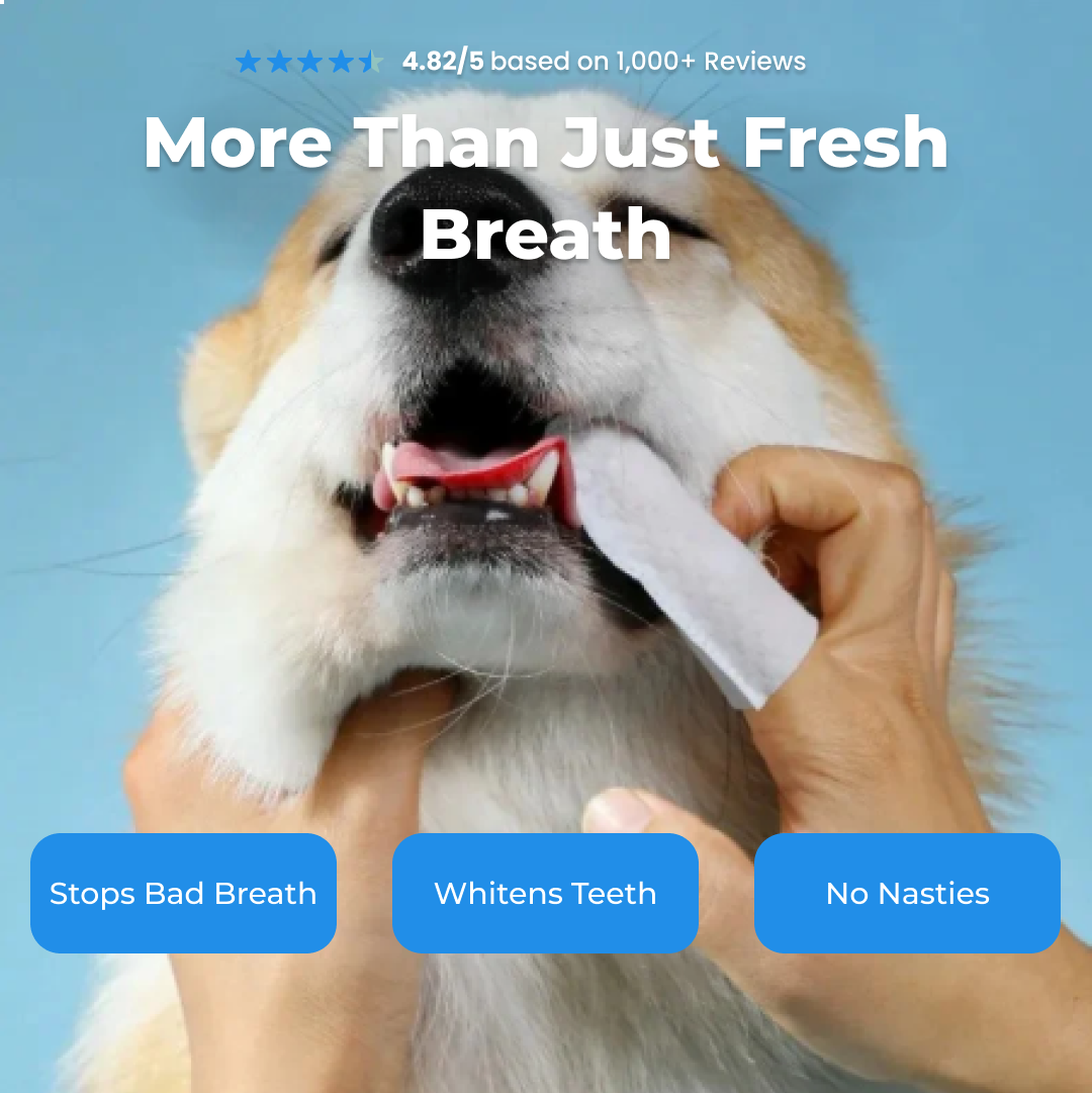 Pet Dental Finger Wipes product image 9