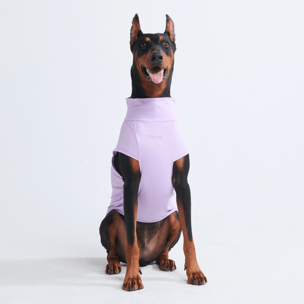 UPF 30 Dog Sun Shirt product image 3