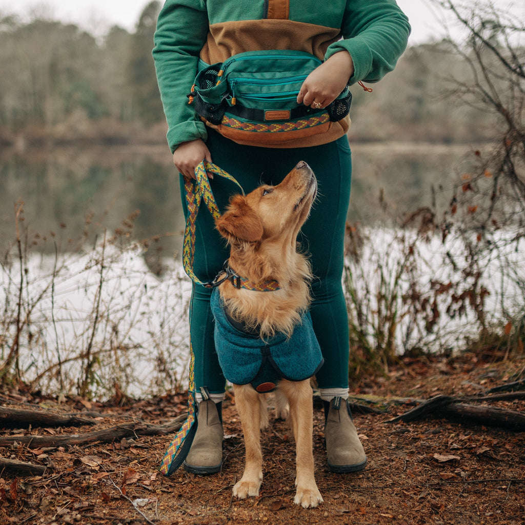 Dog Walking Hip Pack product image 8