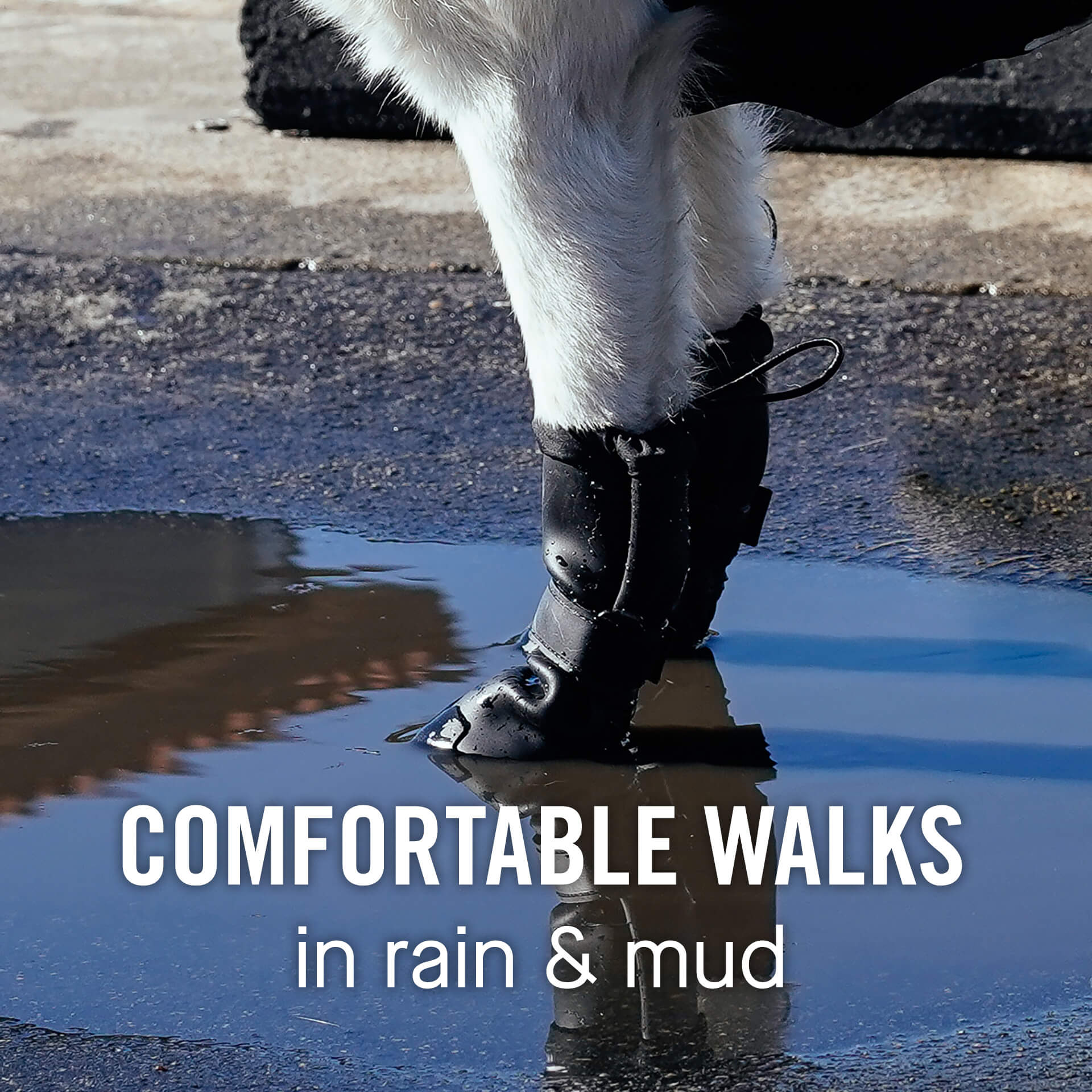Waterproof Silicone Dog Rain Boots product image 5