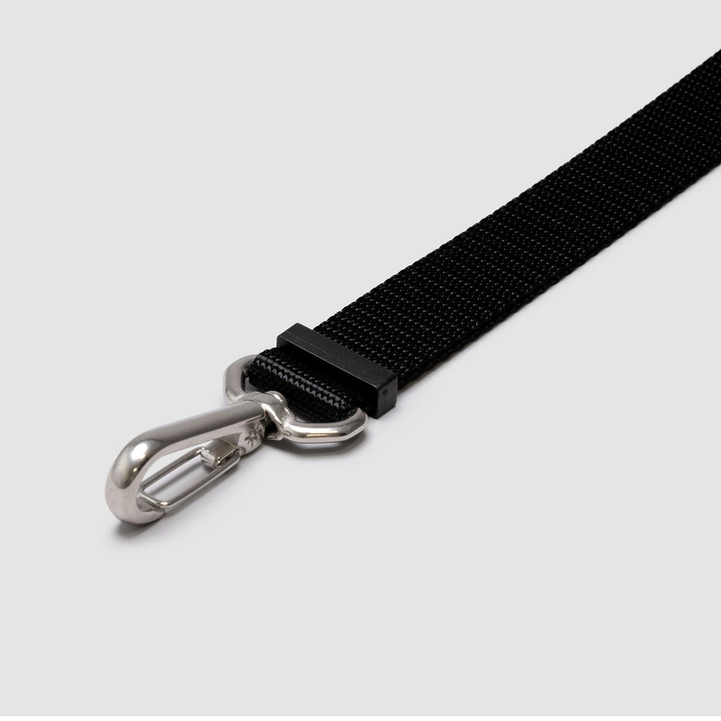 Adjustable Hands-Free Dog Leash product image 2
