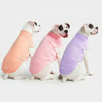 UPF 30 Dog Sun Shirt product image 56
