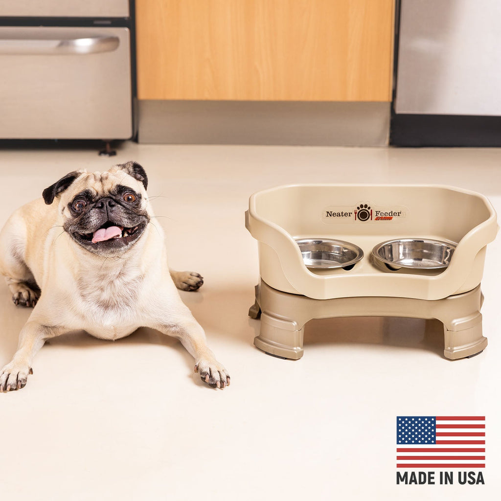 Elevated Spill-Containment Pet Feeder product image 33