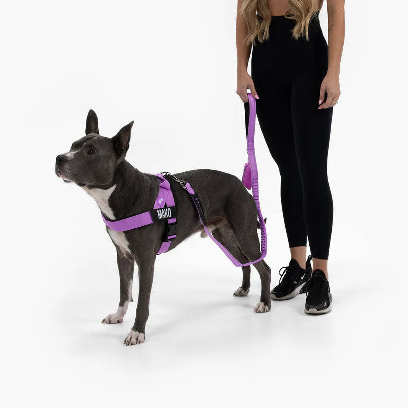 Adjustable Grab-Handle Dog Harness product image 18
