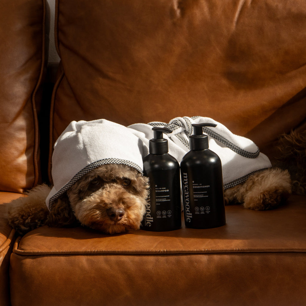 Dog Shampoo and Conditioner Set product image 3