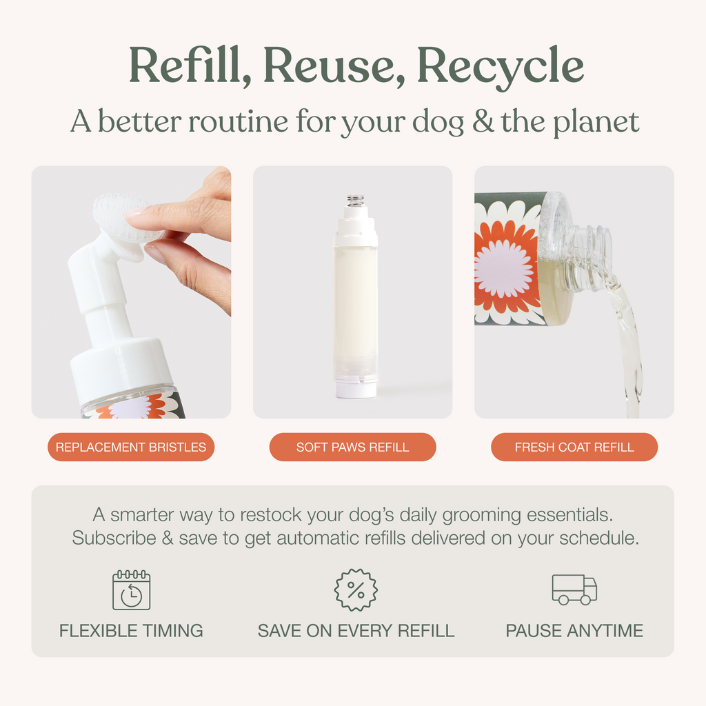 Dog Paw and Coat Care Set product image 9