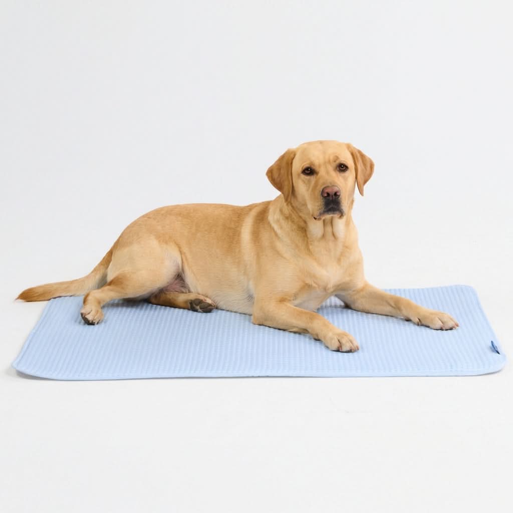 Breathable Cooling Dog Mat product image 95
