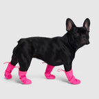 Waterproof Silicone Dog Rain Boots product image 7