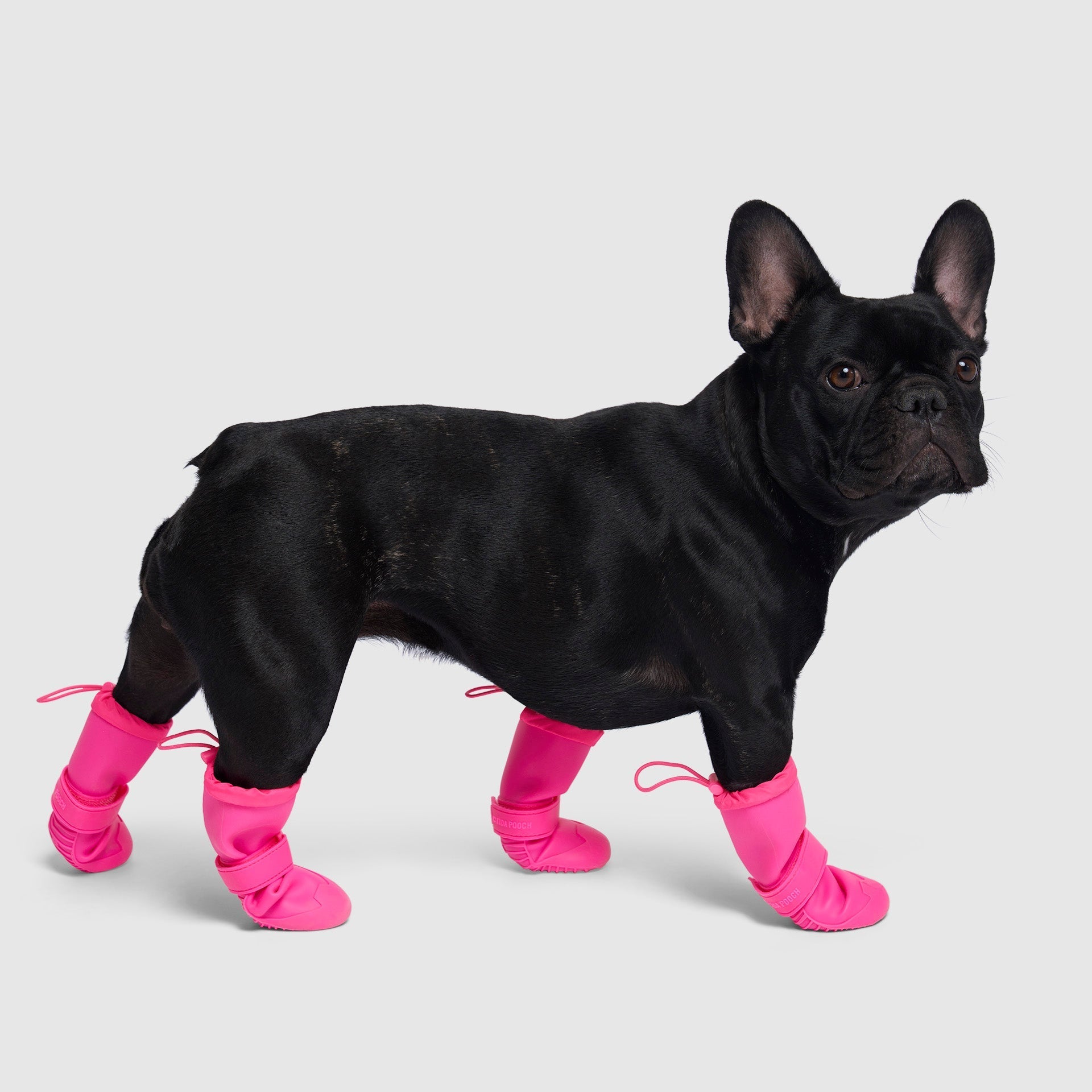 Waterproof Silicone Dog Rain Boots product image 7