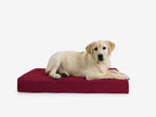 Orthopedic Dog Crate Bed product image 6