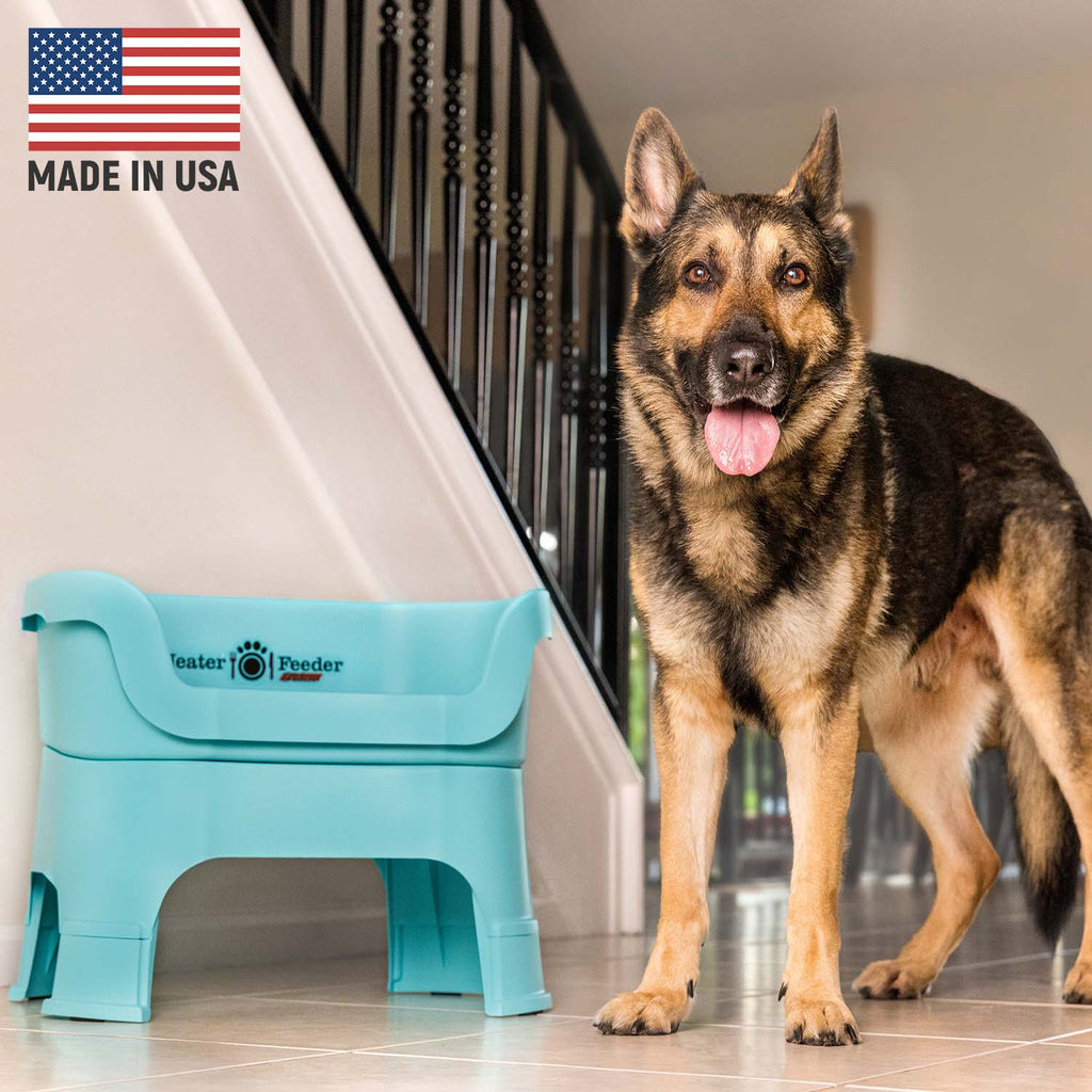 Elevated Spill-Containment Pet Feeder product image 113