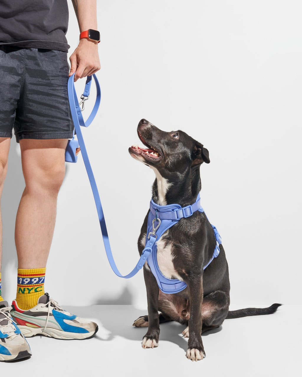 Leash-Attached Dog Waste Bag Dispenser product image 27