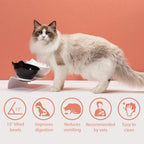 15-Degree Elevated Cat Bowl product image 8