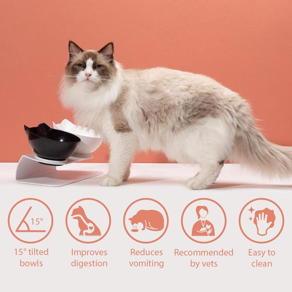 15-Degree Elevated Cat Bowl product image 8