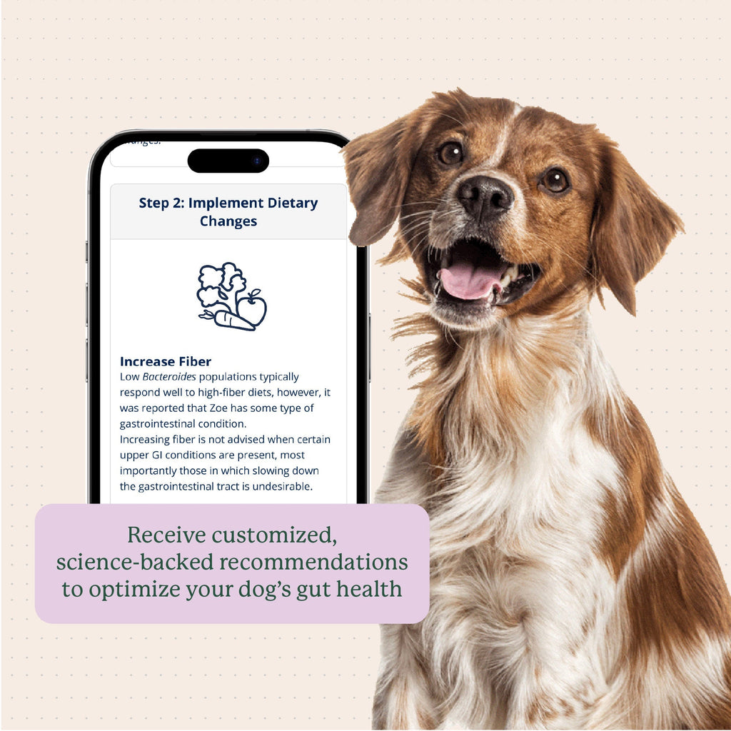 Dog Gut Microbiome Test Kit product image 8