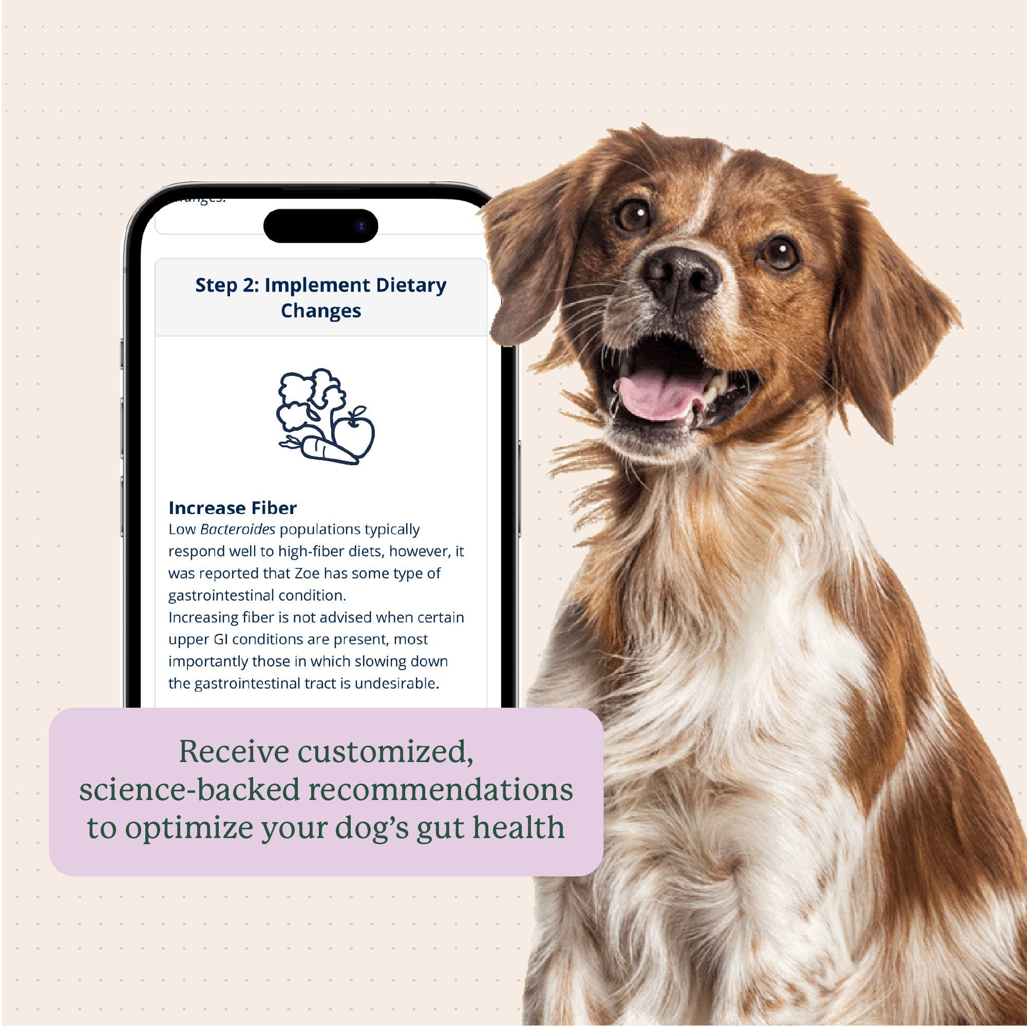 Dog Gut Microbiome Test Kit product image 8