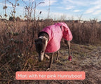 Greyhound and Whippet Dog Boots product image 18