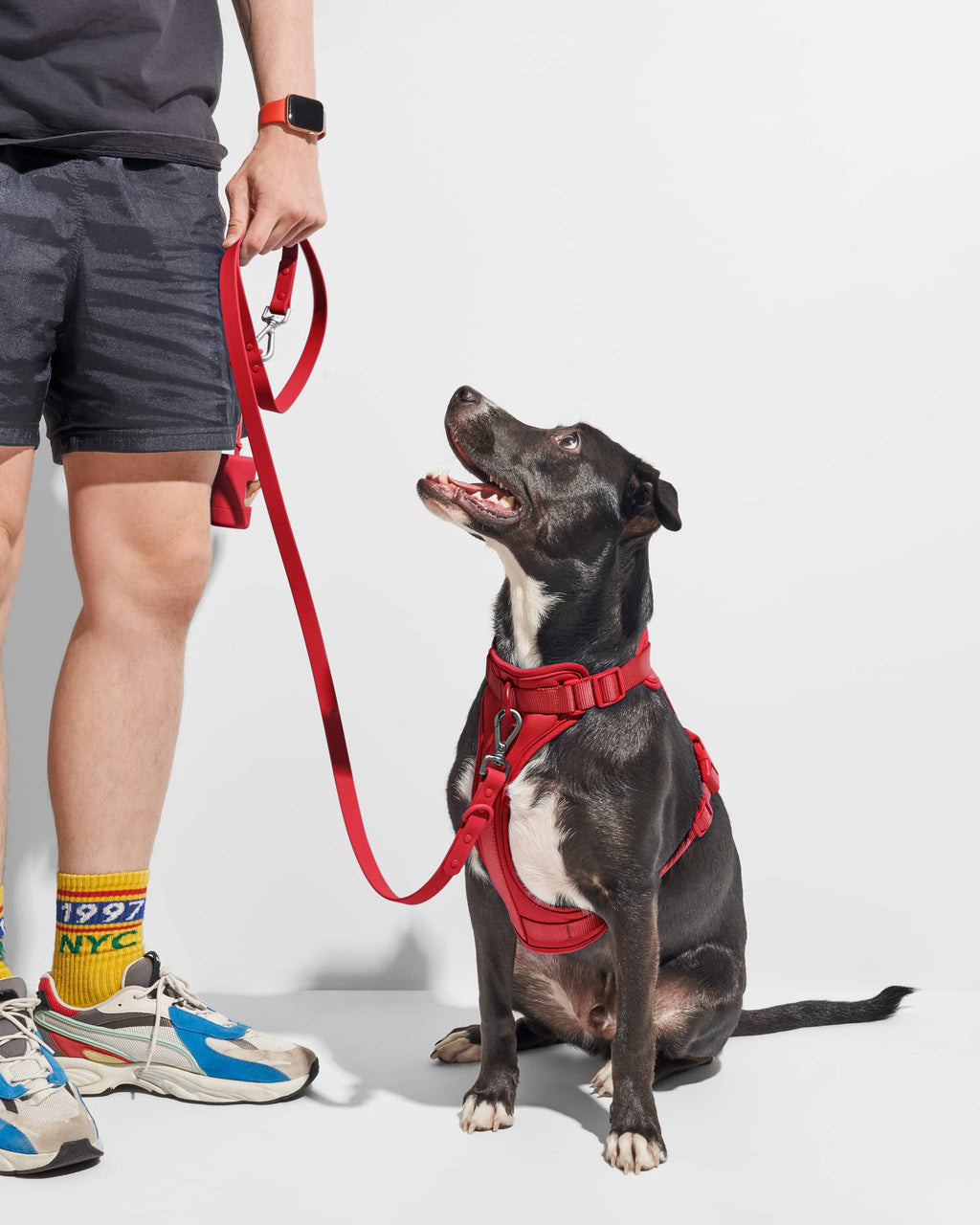 Leash-Attached Dog Waste Bag Dispenser product image 35