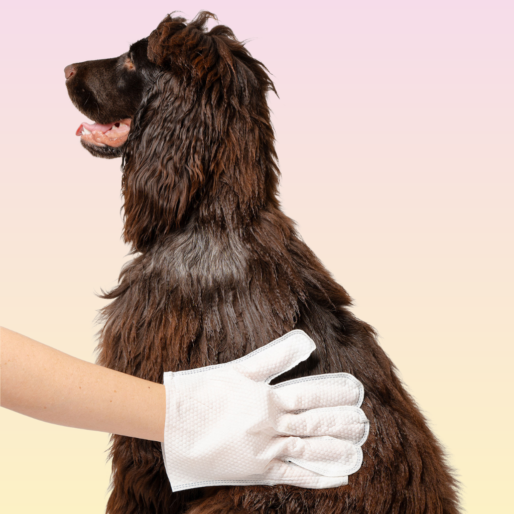 Full-Body Pet Glove Wipes product image 4
