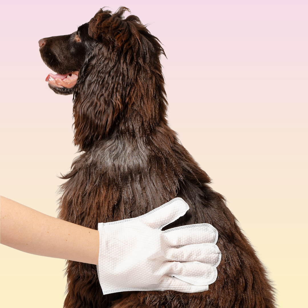 Full-Body Pet Glove Wipes product image 4