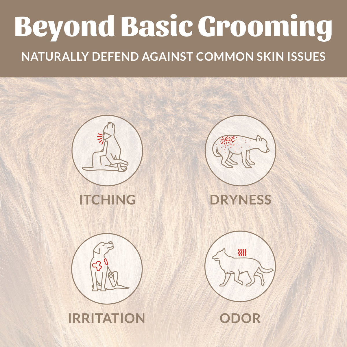 Probiotic Pet Shampoo and Conditioner product image 37