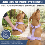 No-Pull Dog Harness Walking Set product image 46