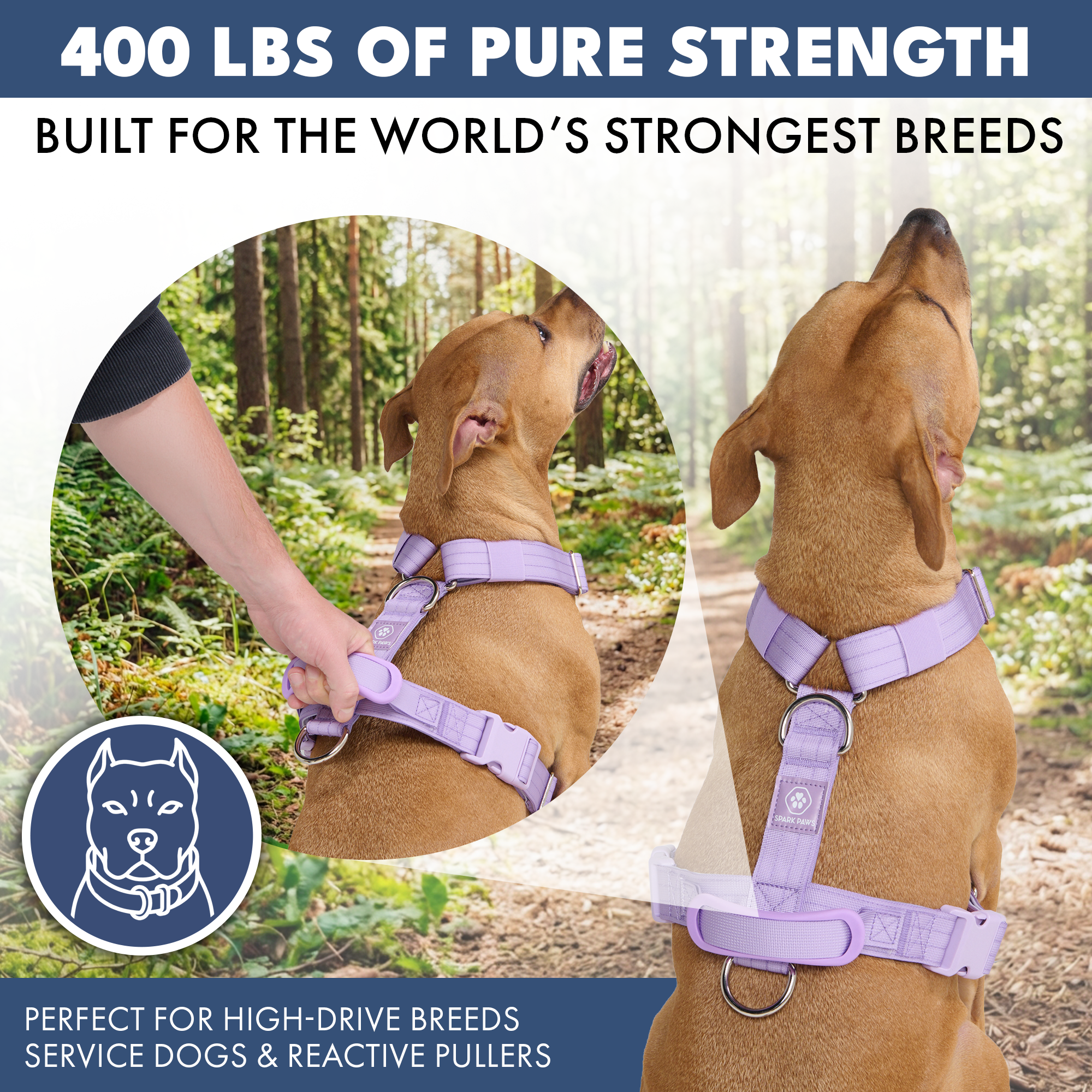 No-Pull Dog Harness Walking Set product image 46