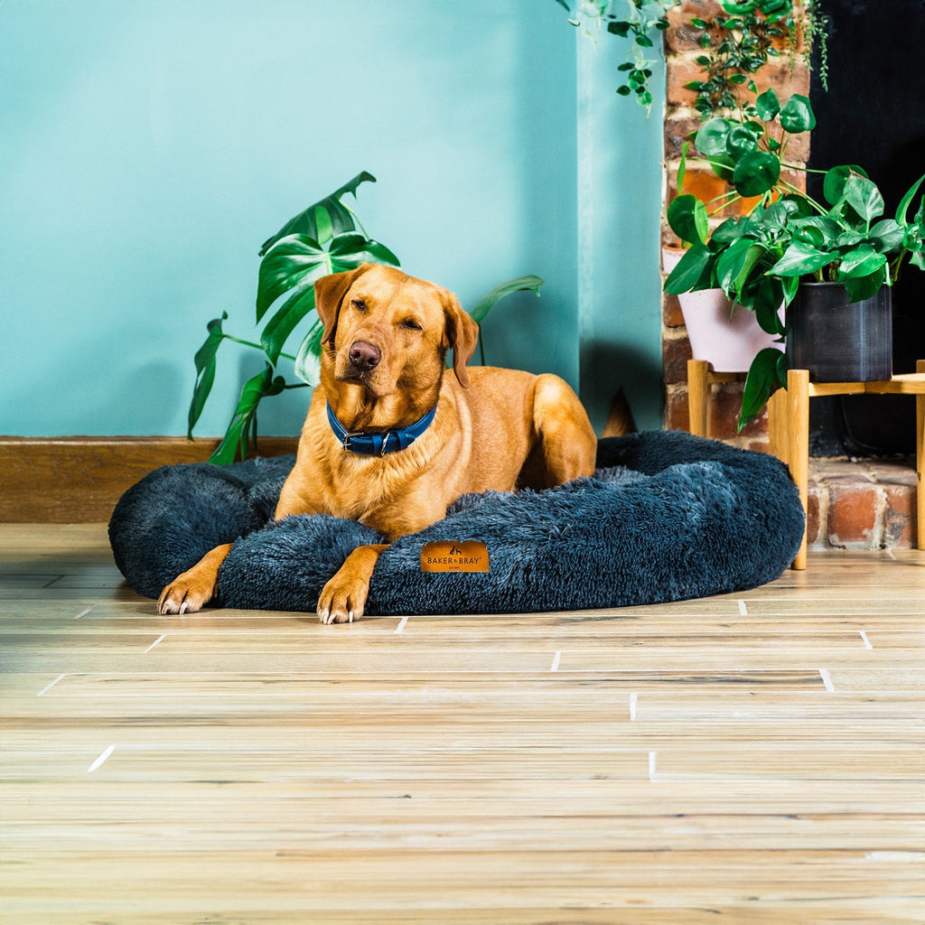 Calming Donut Dog Bed product image 2