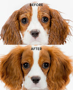 Hydrating Dog and Cat Shampoo product image 3