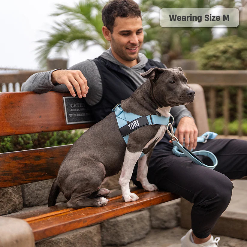 Adjustable Grab-Handle Dog Harness product image 10