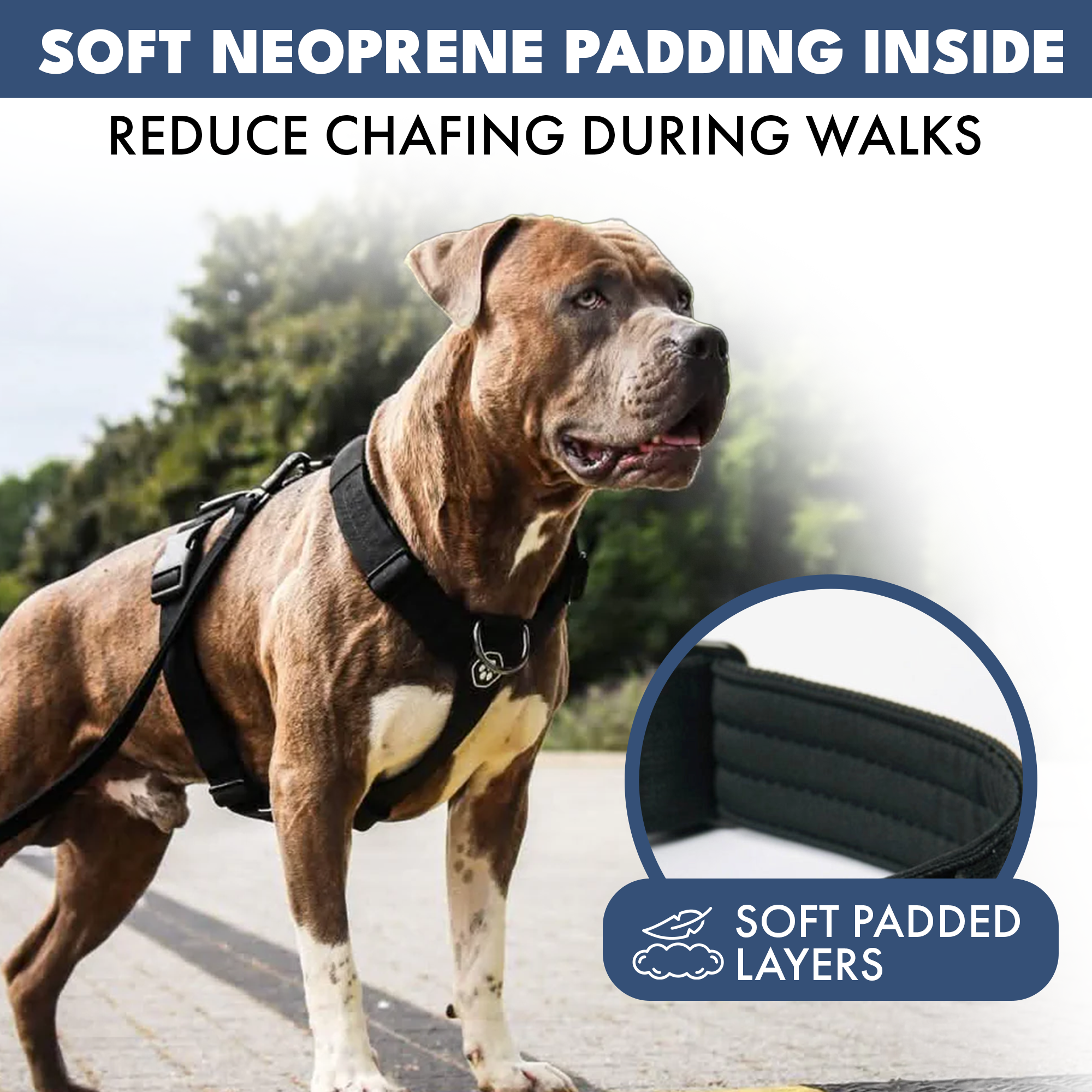 No-Pull Dog Harness Walking Set product image 26