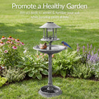 Solar Lighted Pedestal Bird Bath product image 14